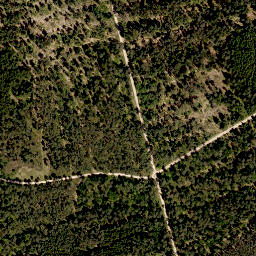 Satellite imagery of Rehgenick, DE