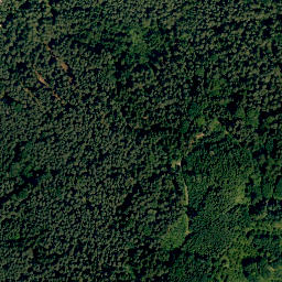 Satellite imagery of Reichenberg, DE