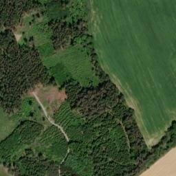 Satellite imagery of Neděliště [Měkynec], CZ