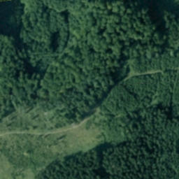 Satellite imagery of Zubák, CZ