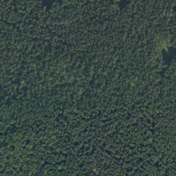 Satellite imagery of M.K., PL