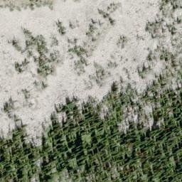 Satellite imagery of John Bull Mountain, CA