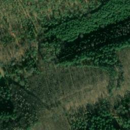 Satellite imagery of Mühlberg, DE