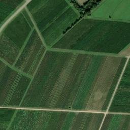 Satellite imagery of Trappelberg, DE
