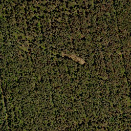 Satellite imagery of Dreisteinbuck, DE