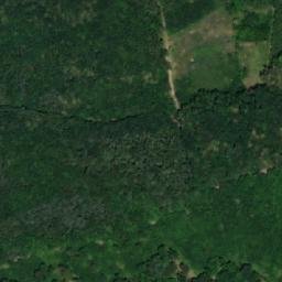 Satellite imagery of Losky, CZ