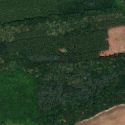 Satellite imagery of Losky, CZ