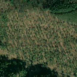 Satellite imagery of Mühlberg, DE