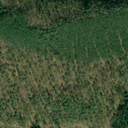 Satellite imagery of Mühlberg, DE