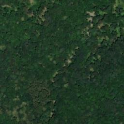 Satellite imagery of Losky, CZ