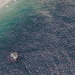 Satellite imagery of Moser Point, CA