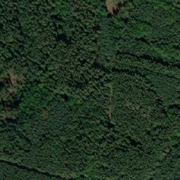 Satellite imagery of (Bošilecké polesí) [Bošilec], CZ