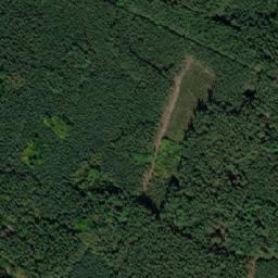 Satellite imagery of (Bošilecké polesí) [Bošilec], CZ