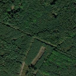 Satellite imagery of (Bošilecké polesí) [Bošilec], CZ