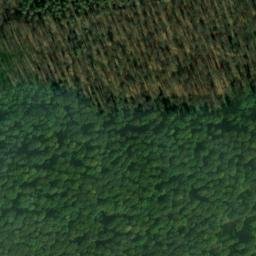 Satellite imagery of Hohwald, DE