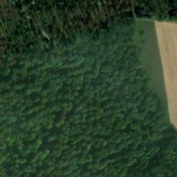 Satellite imagery of Hohwald, DE