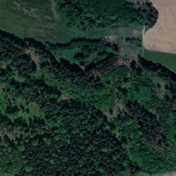 Satellite imagery of Muchův kopec [Olšany] outlook p., CZ