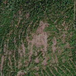 Satellite imagery of Mount Olson, CA