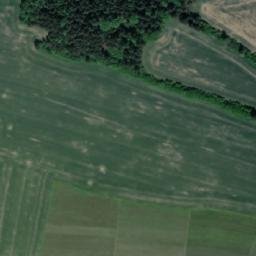 Satellite imagery of Muchův kopec [Olšany] outlook p., CZ