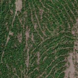 Satellite imagery of Mount Olson, CA