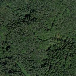 Satellite imagery of Puhlstein, DE