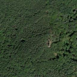 Satellite imagery of Puhlstein, DE