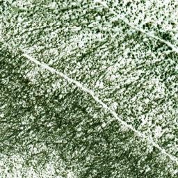 Satellite imagery of Polom, CZ