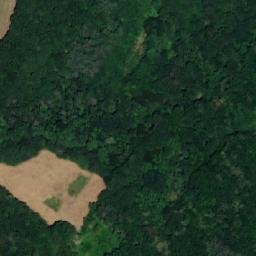Satellite imagery of Doubí [Doiubravy], CZ