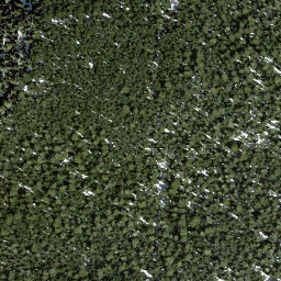 Satellite imagery of survey_point, CA