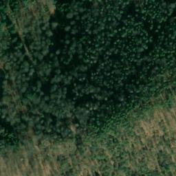 Satellite imagery of Großer Mückenkopf, DE
