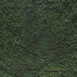 Satellite imagery of Nameless Point, DE