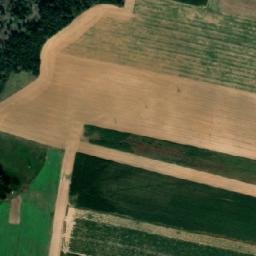 Satellite imagery of (Zadní les[Výčapy]), CZ