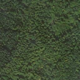 Satellite imagery of Nameless Point, DE