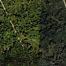 Satellite imagery of Altenberg, DE