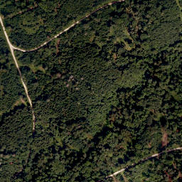 Satellite imagery of Altenberg, DE