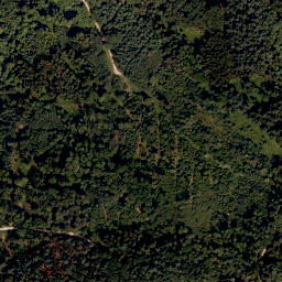 Satellite imagery of Eiterbühl, DE