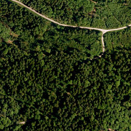 Satellite imagery of TP, CZ