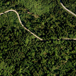 Satellite imagery of TP, CZ