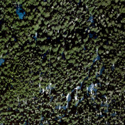 Satellite imagery of Elk Mountain, CA