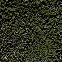 Satellite imagery of Elk Mountain, CA