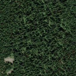 Satellite imagery of Grey Mountain, CA