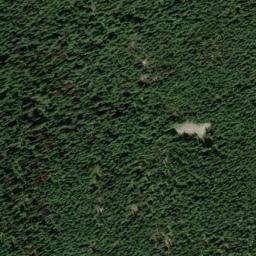 Satellite imagery of Grey Mountain, CA