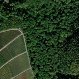 Satellite imagery of Weissenberg, DE