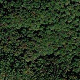 Satellite imagery of Eichbühl, DE