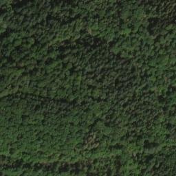 Satellite imagery of Büchelberg, DE