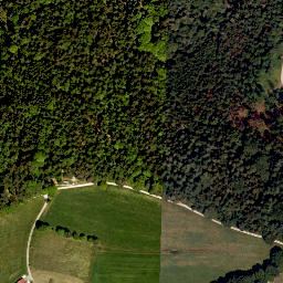 Satellite imagery of Altenberg, DE