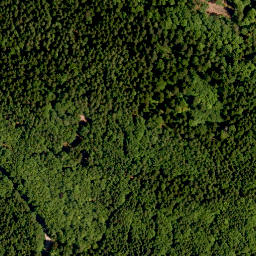 Satellite imagery of TP, CZ