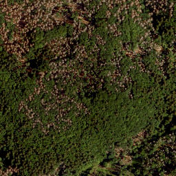 Satellite imagery of LCR, CZ