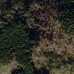 Satellite imagery of Dřevěná hůl [Prášily], CZ
