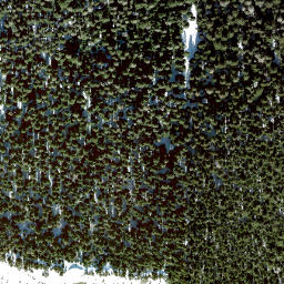 Satellite imagery of Elk Mountain, CA